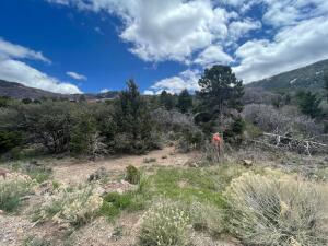714 E Cedar Highlands DR, Cedar City, photo 9 of 10