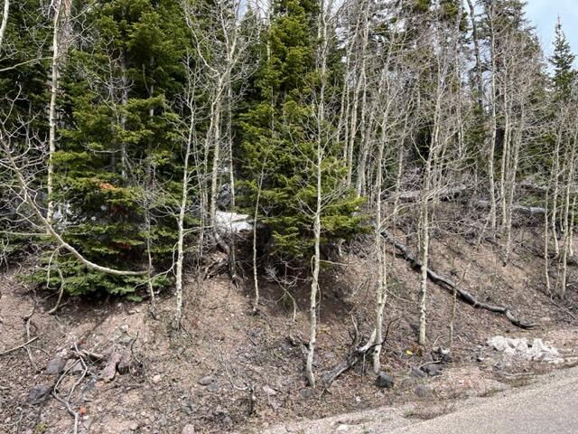 395 W Eagles Roost, (Woodbridge #60), Brian Head, photo 6 of 21