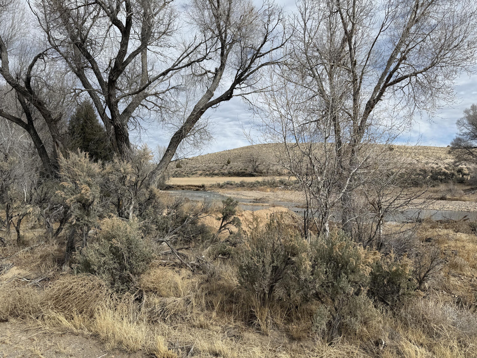 1460 S Rainbow Drive, Panguitch, photo 6 of 18