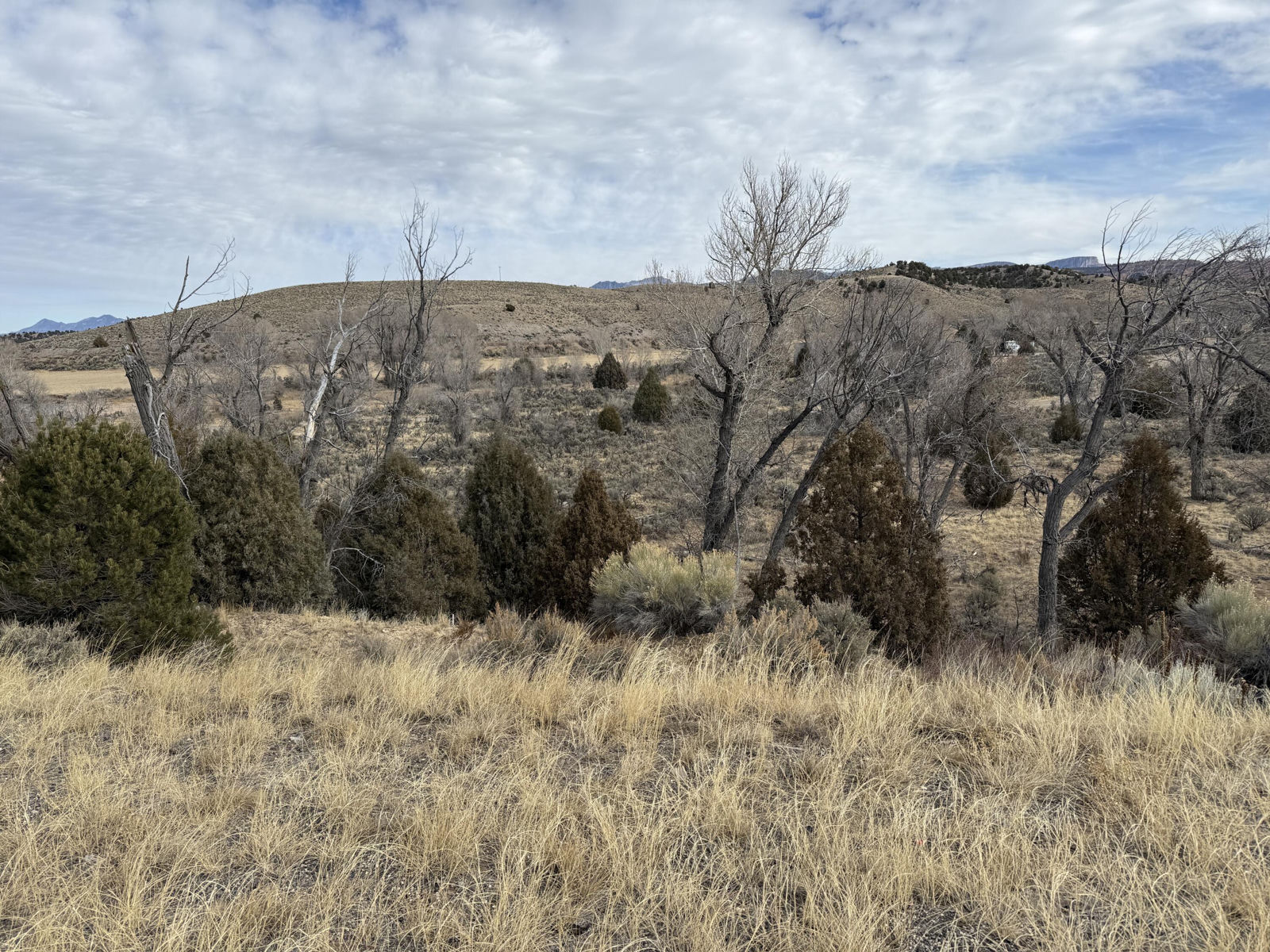1460 S Rainbow Drive, Panguitch, photo 1