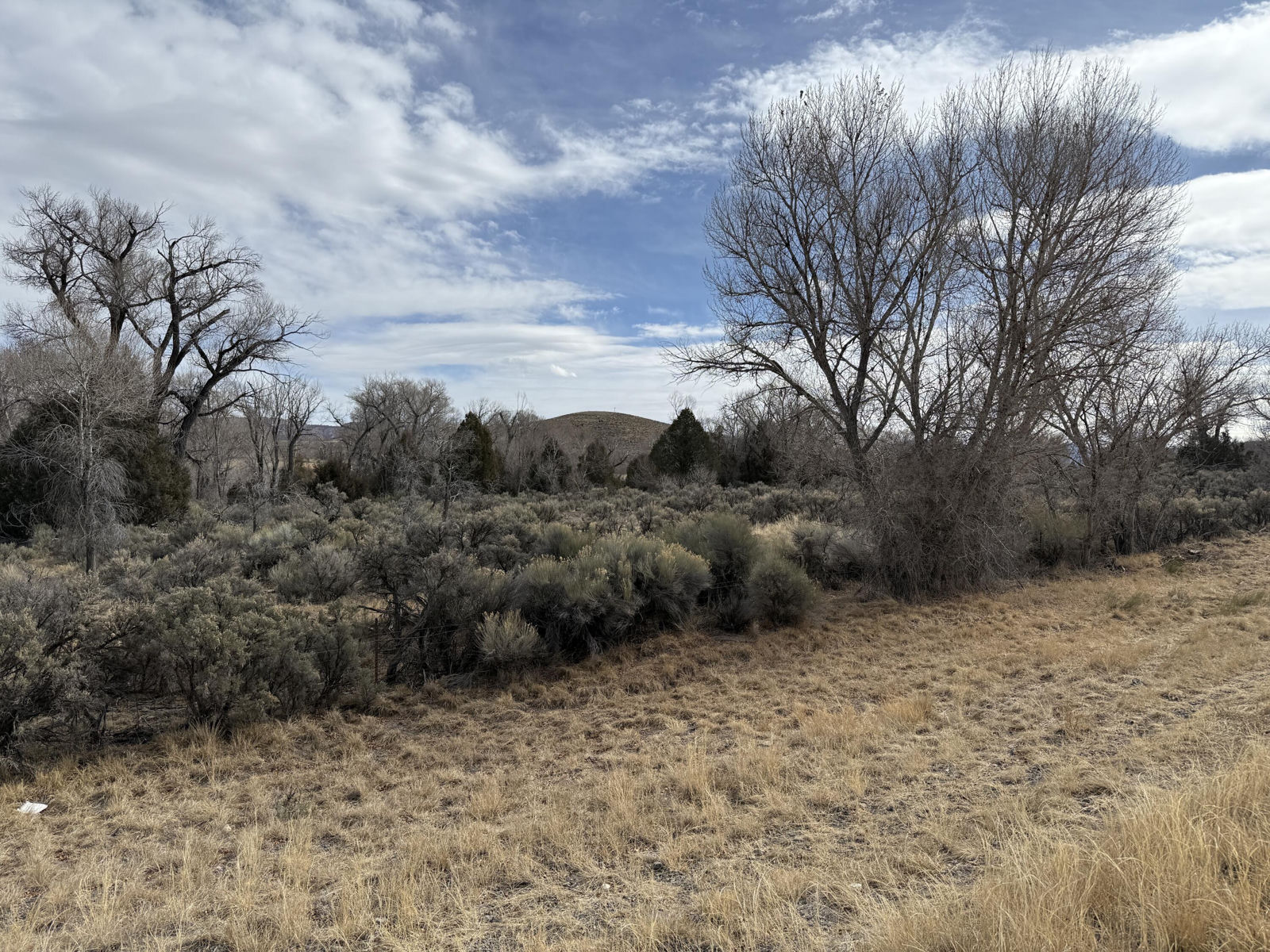 1460 S Rainbow Drive, Panguitch, photo 3 of 18