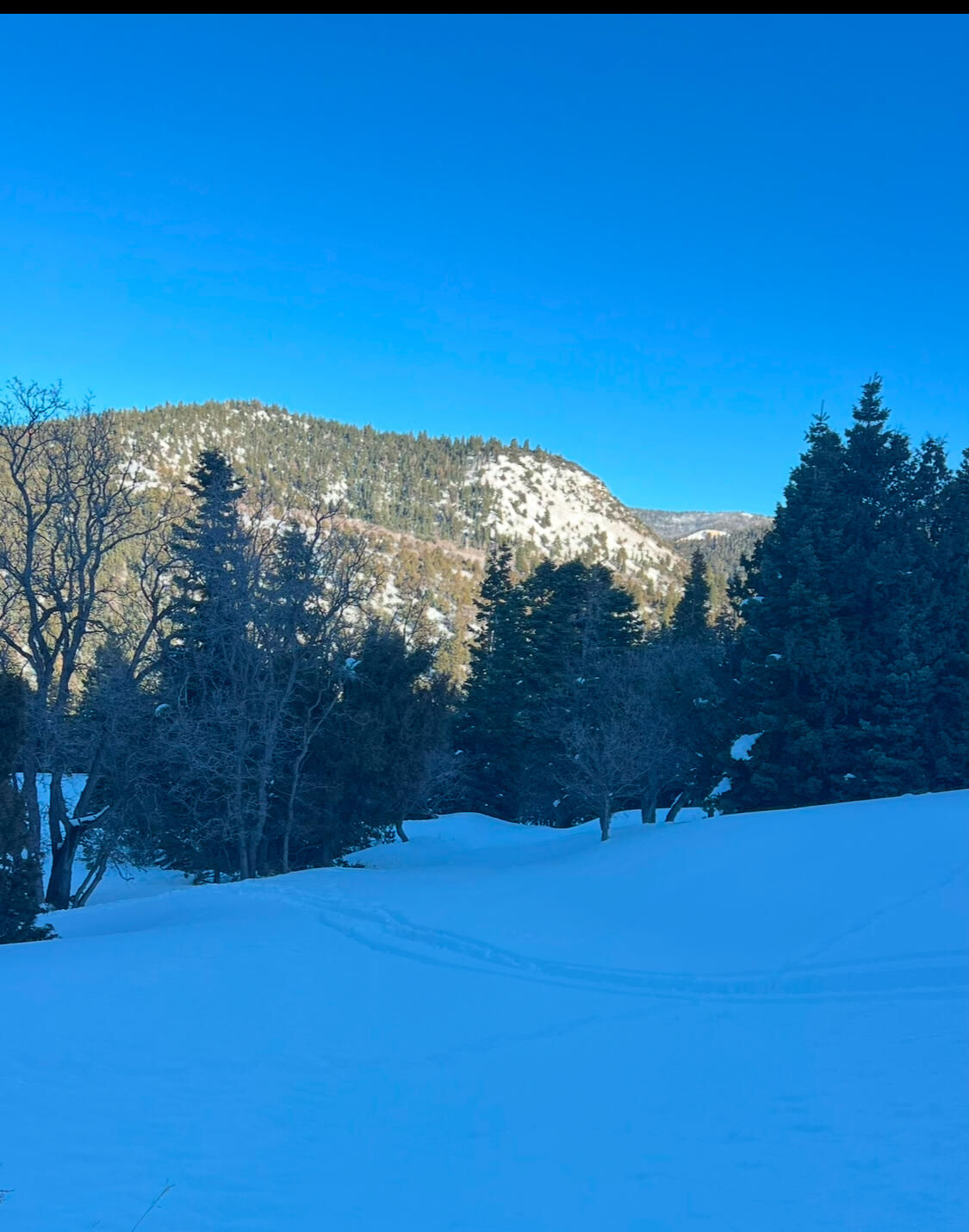 Cedar Mountain Ashdown Gorge-B, Cedar City, photo 5 of 26