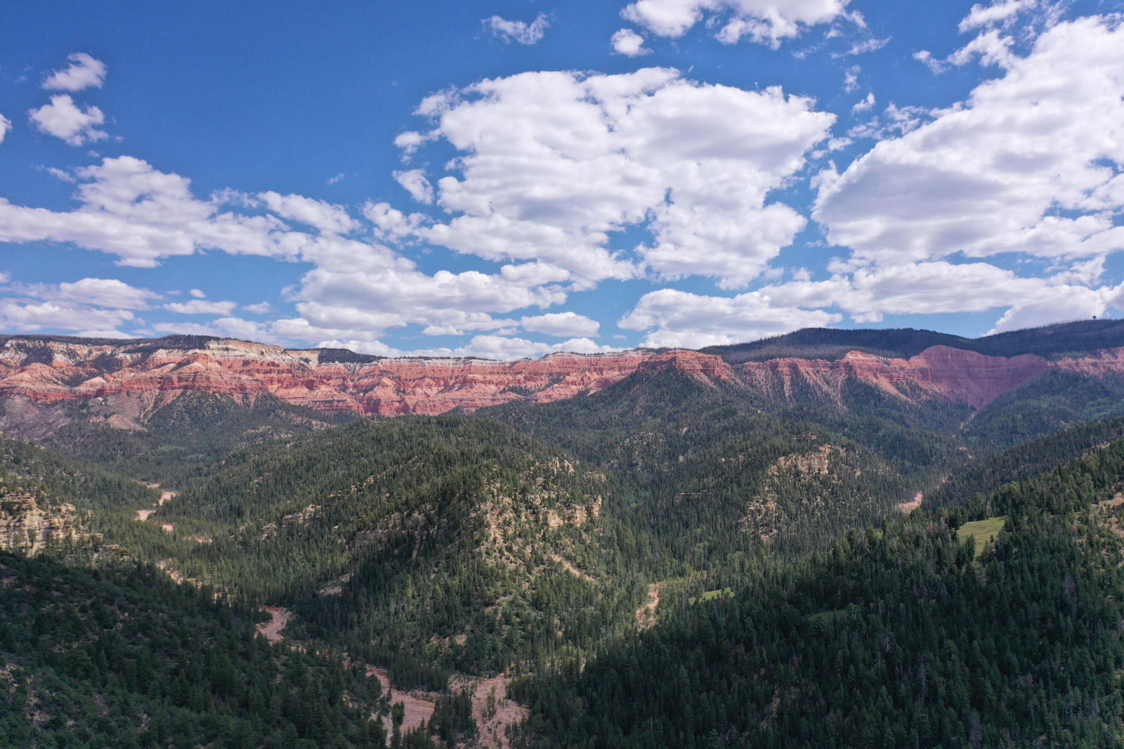 Cedar Mountain Ashdown Gorge-B, Cedar City, photo 13 of 26