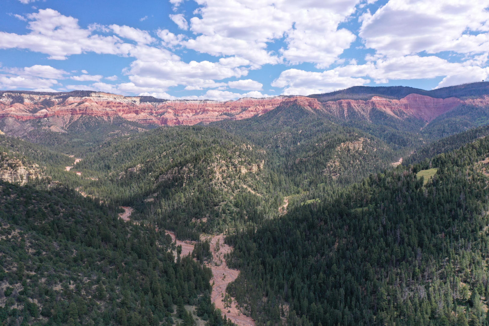Cedar Mountain Ashdown Gorge-B, Cedar City, photo 14 of 26