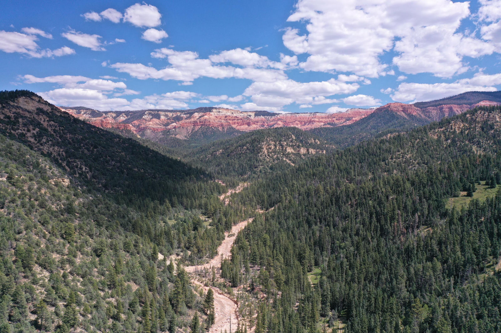 Cedar Mountain Ashdown Gorge-B, Cedar City, photo 17 of 26