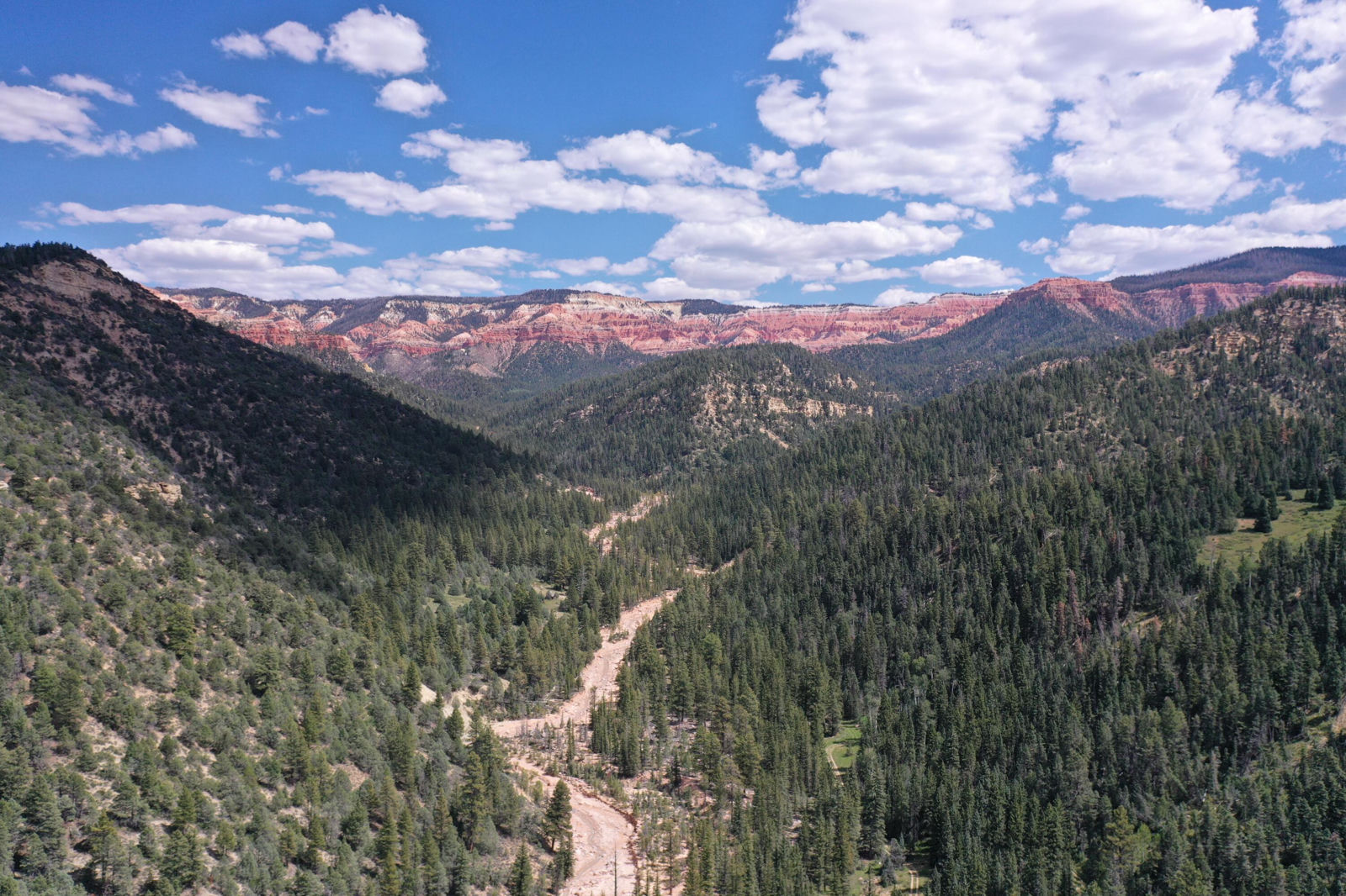 Cedar Mountain Ashdown Gorge-B, Cedar City, photo 18 of 26