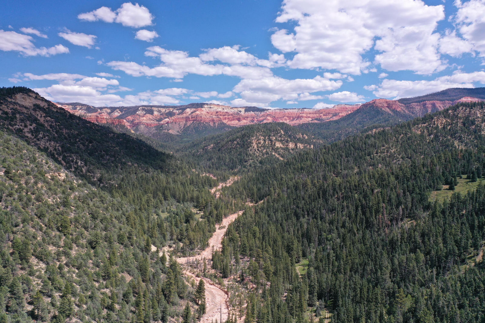 Cedar Mountain Ashdown Gorge-B, Cedar City, photo 19 of 26
