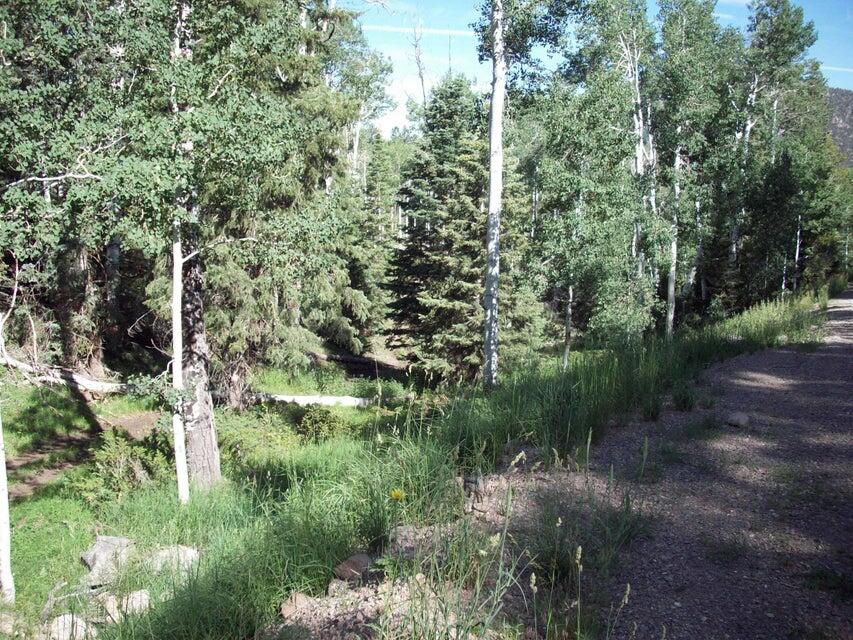Lot 1 Whispering Pines Sub #3, Beaver