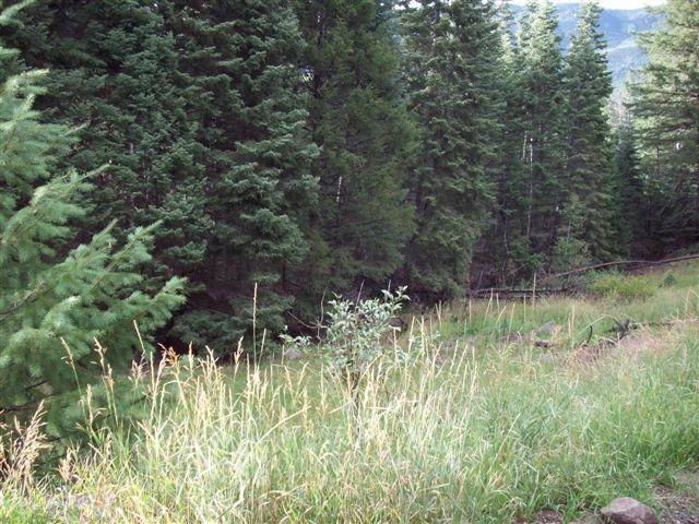 Lot 1 Whispering Pines Sub #3, Beaver, photo 2 of 18