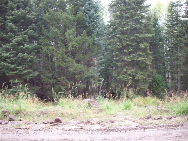 Lot 1 Whispering Pines Sub #3, Beaver, photo 4 of 18