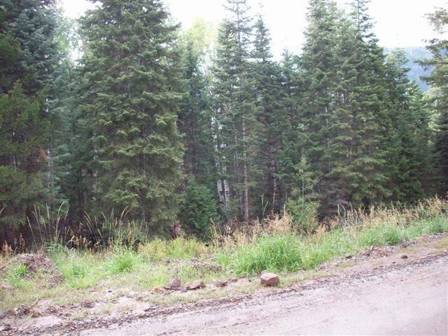 Lot 1 Whispering Pines Sub #3, Beaver, photo 6 of 18