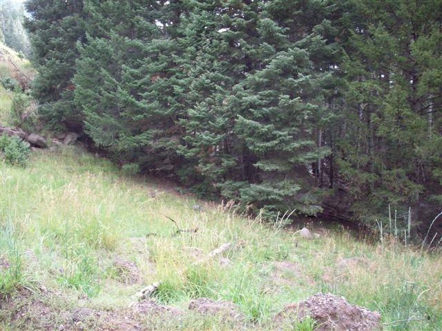 Lot 1 Whispering Pines Sub #3, Beaver, photo 7 of 18
