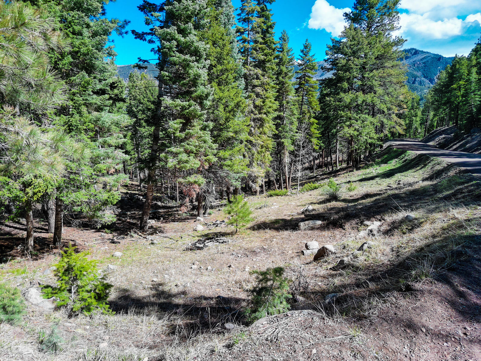 Lot 1 Whispering Pines Sub #3, Beaver, photo 8 of 18