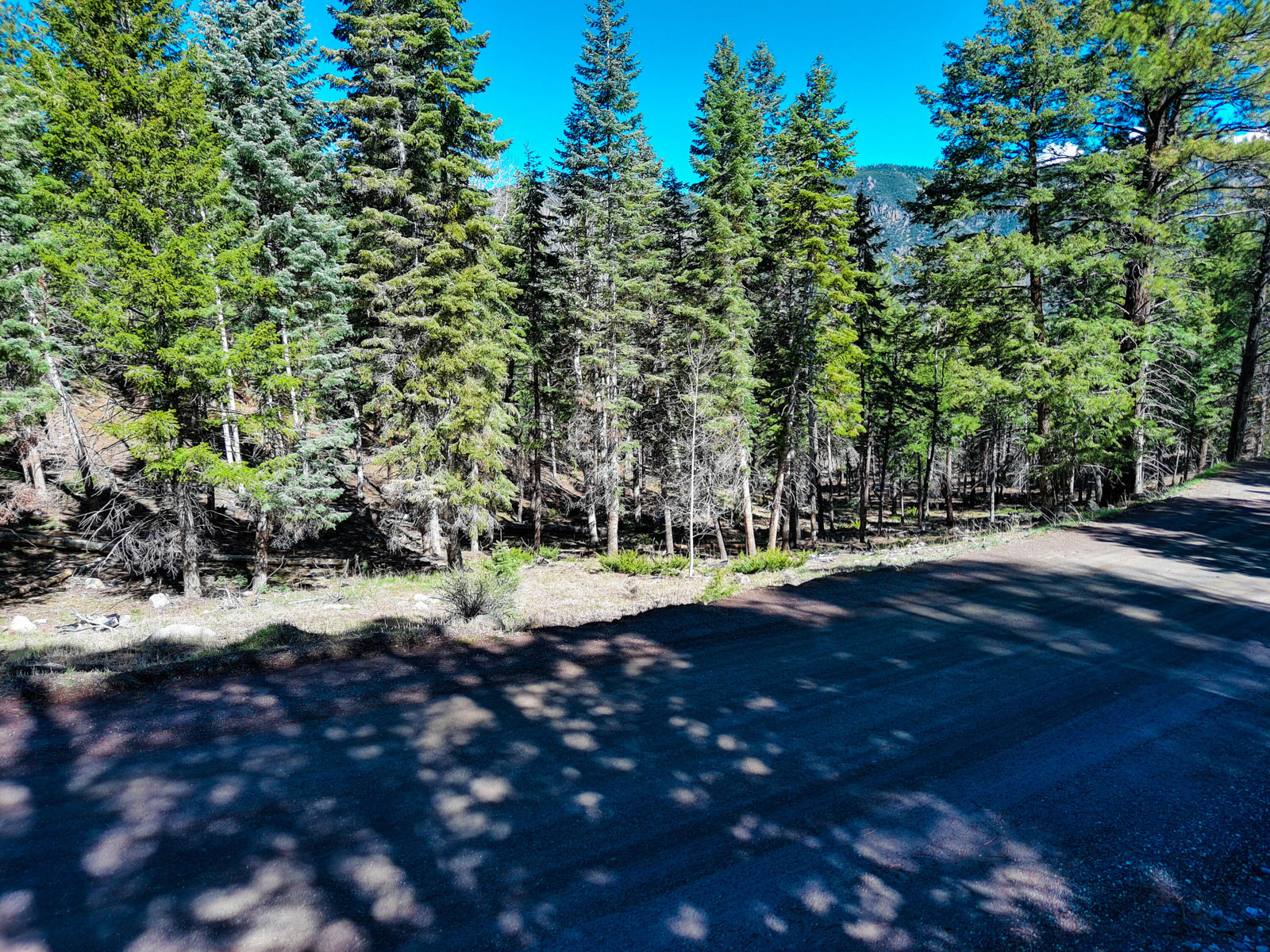 Lot 1 Whispering Pines Sub #3, Beaver, photo 9 of 18