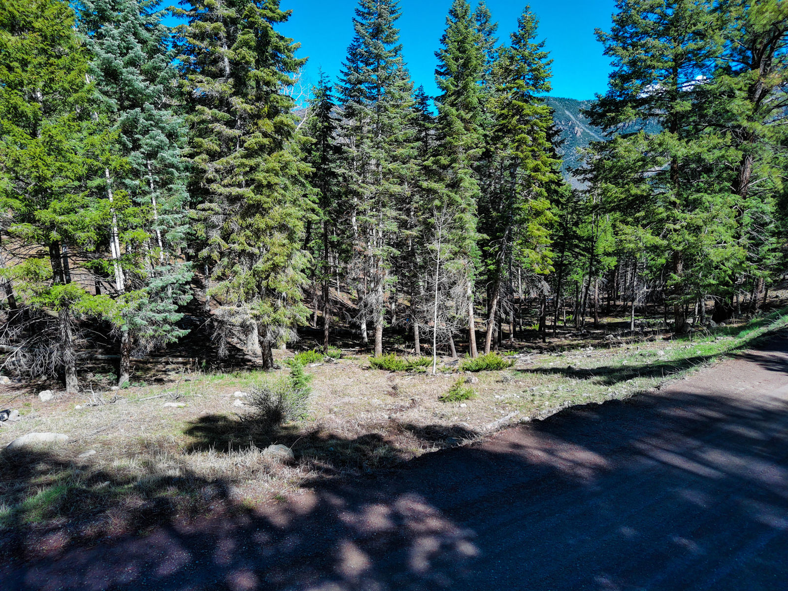 Lot 1 Whispering Pines Sub #3, Beaver, photo 12 of 18