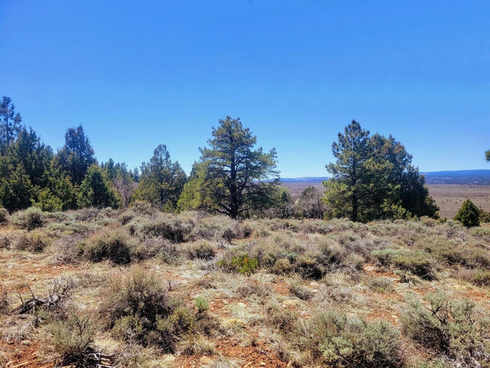 Lot 5 Valley View DR, Duck Creek Village