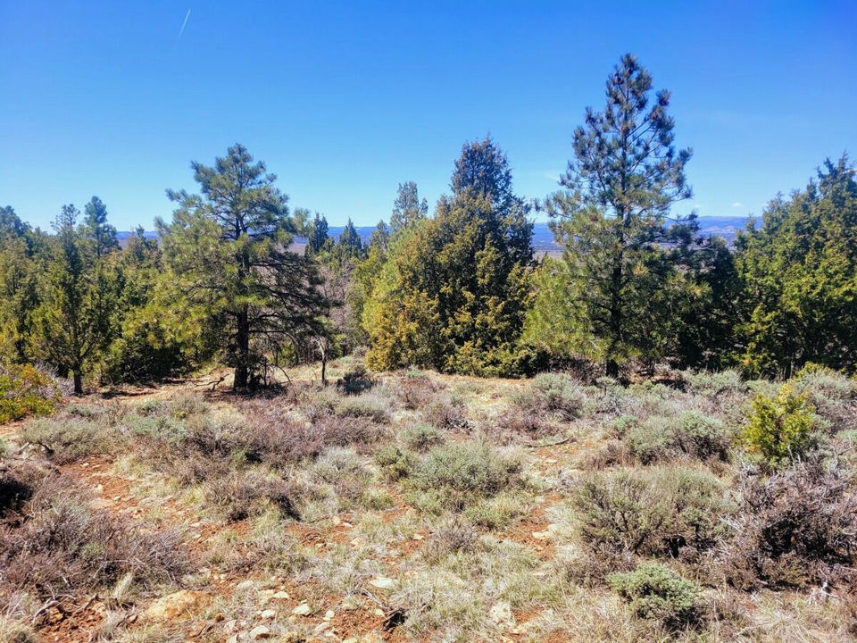 Lot 5 Valley View DR, Duck Creek Village, photo 2