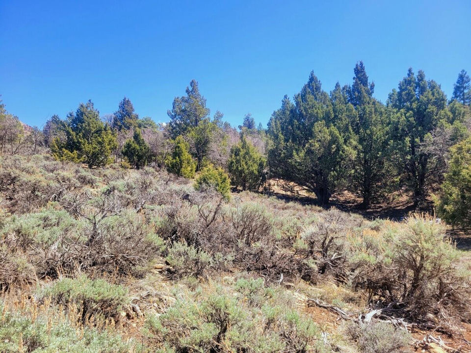 Lot 5 Valley View DR, Duck Creek Village, photo 3