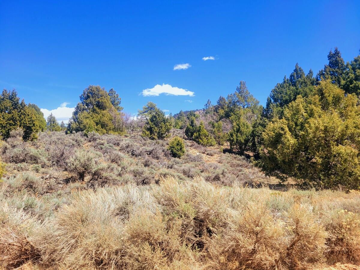 Lot 5 Valley View DR, Duck Creek Village, photo 4 of 15