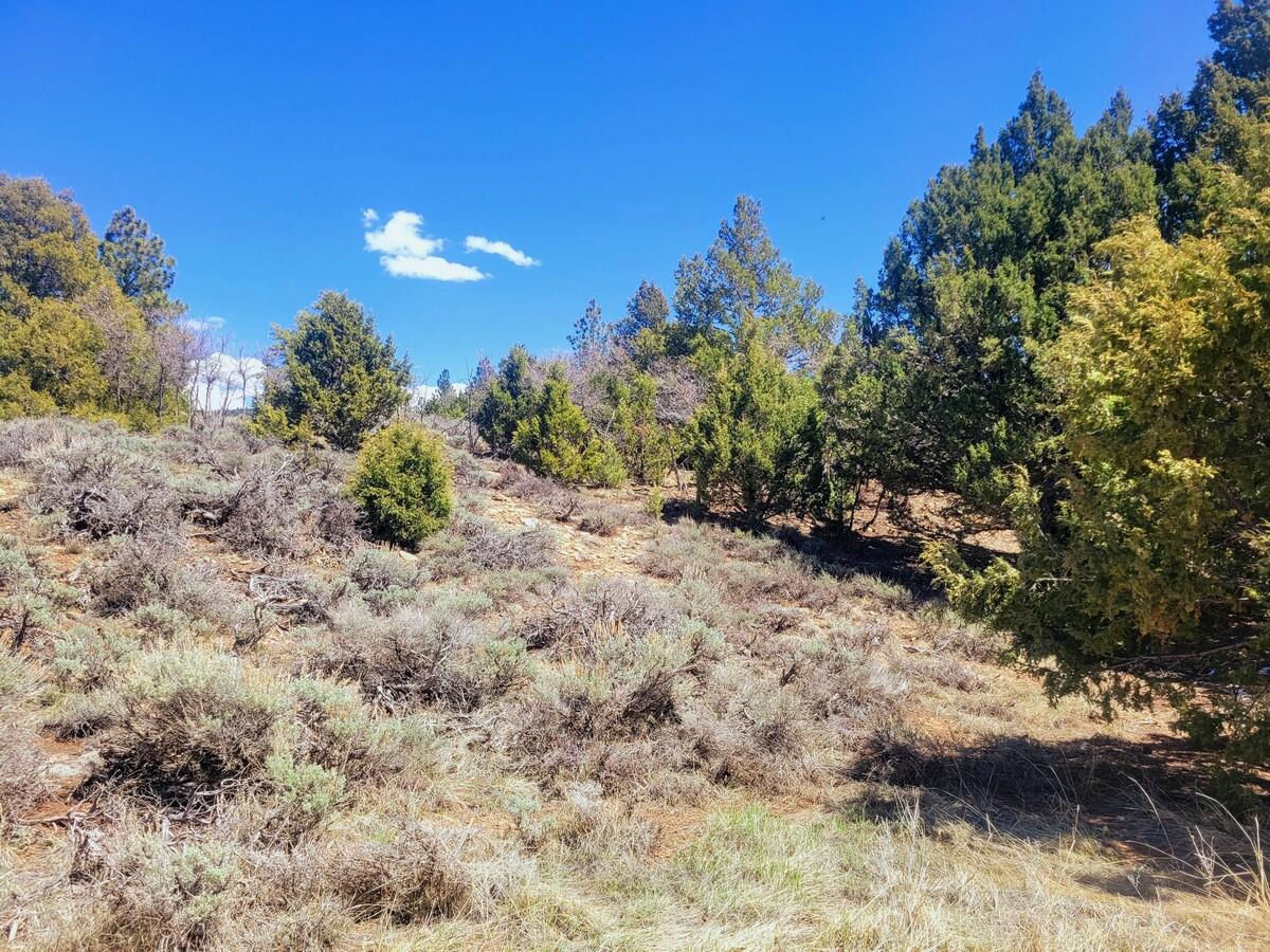 Lot 5 Valley View DR, Duck Creek Village, photo 6 of 15