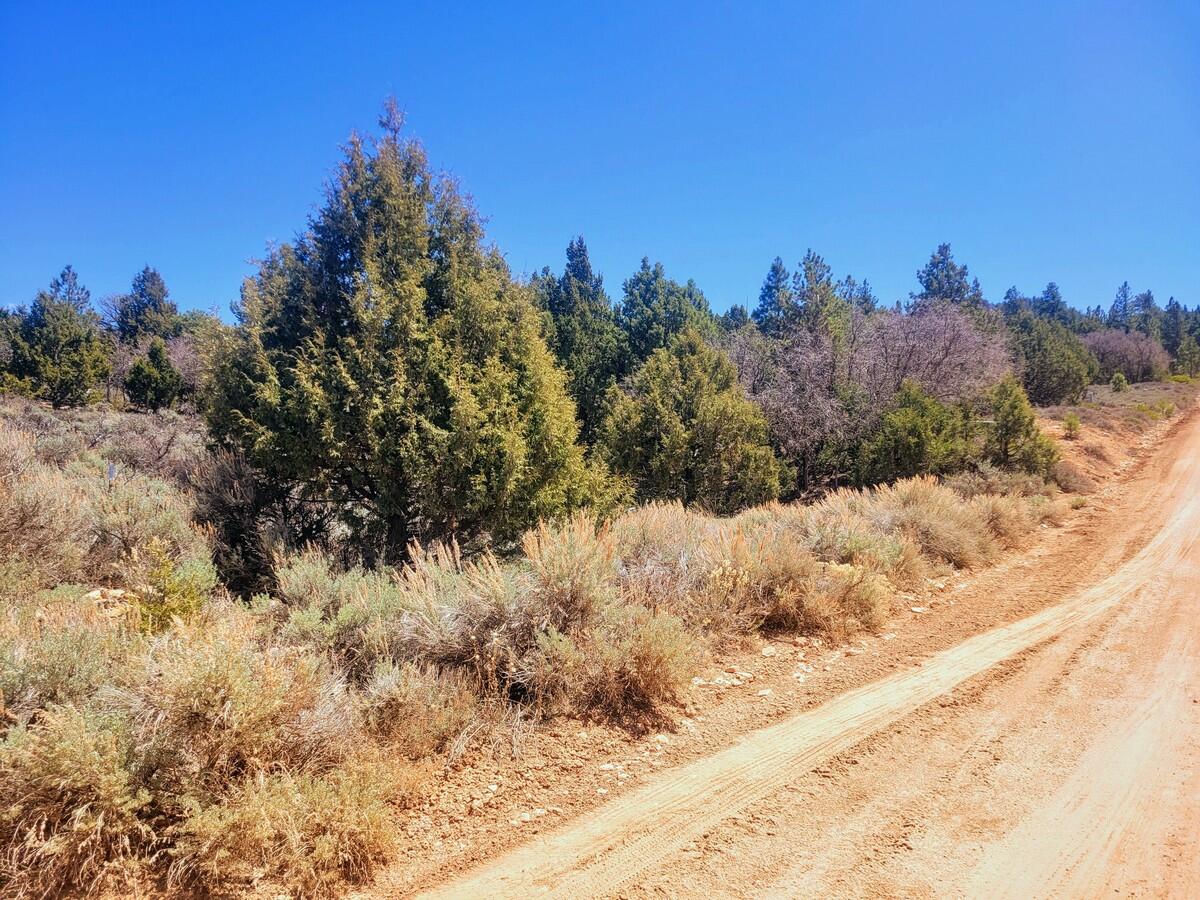 Lot 5 Valley View DR, Duck Creek Village, photo 7 of 15