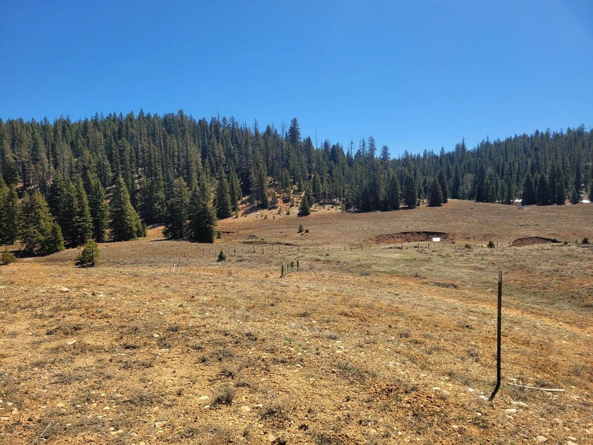 520 N Grassy Trail, Duck Creek Village, photo 1