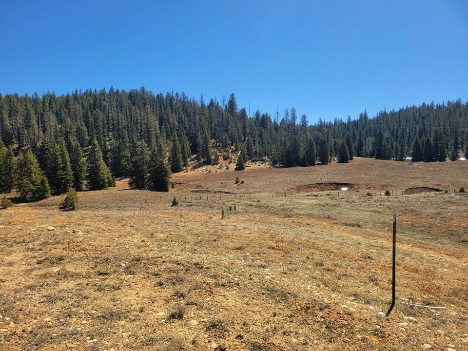 520 N Grassy Trail, Duck Creek Village