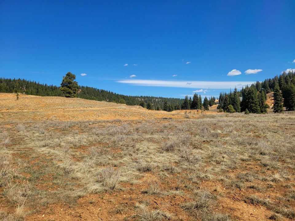 520 N Grassy Trail, Duck Creek Village, photo 2