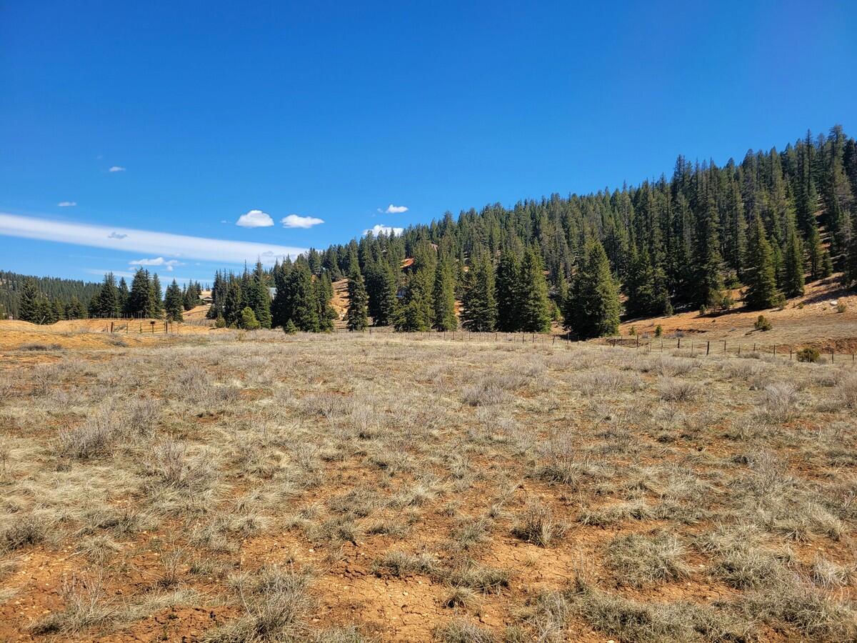 520 N Grassy Trail, Duck Creek Village, photo 3 of 15
