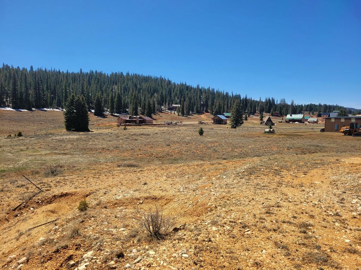 520 N Grassy Trail, Duck Creek Village, photo 6 of 15