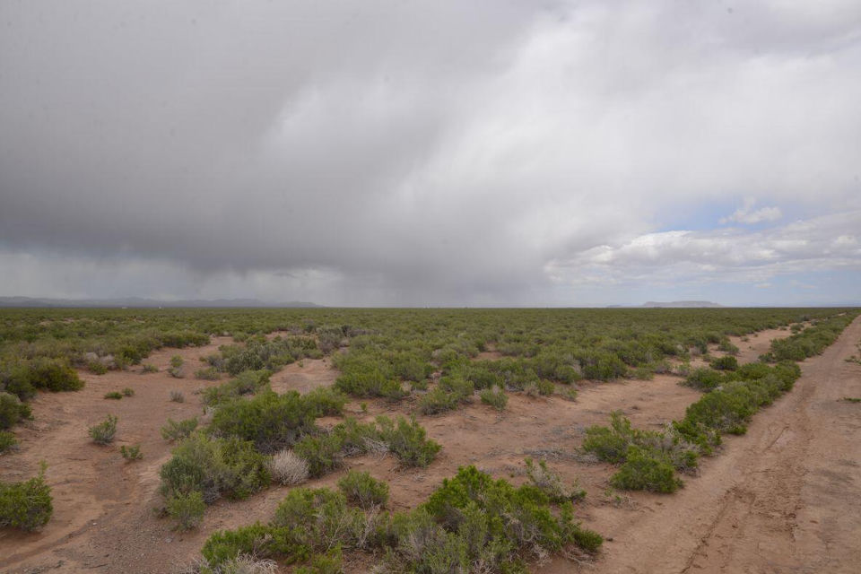 20 Acres, Beryl