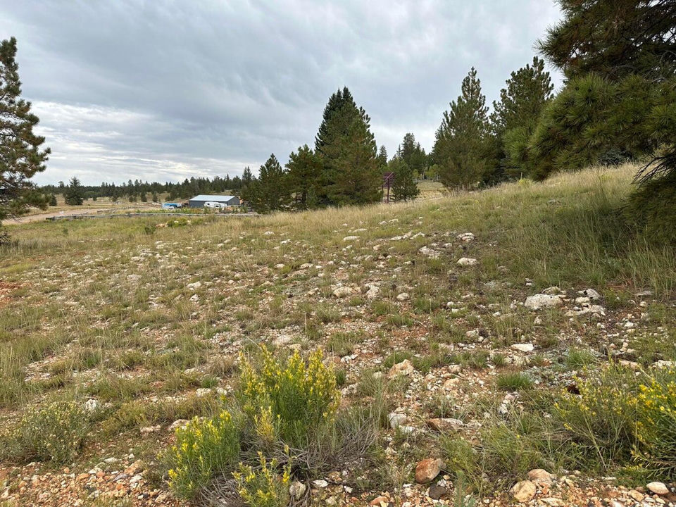 2150 N Ridge View RD, Duck Creek Village
