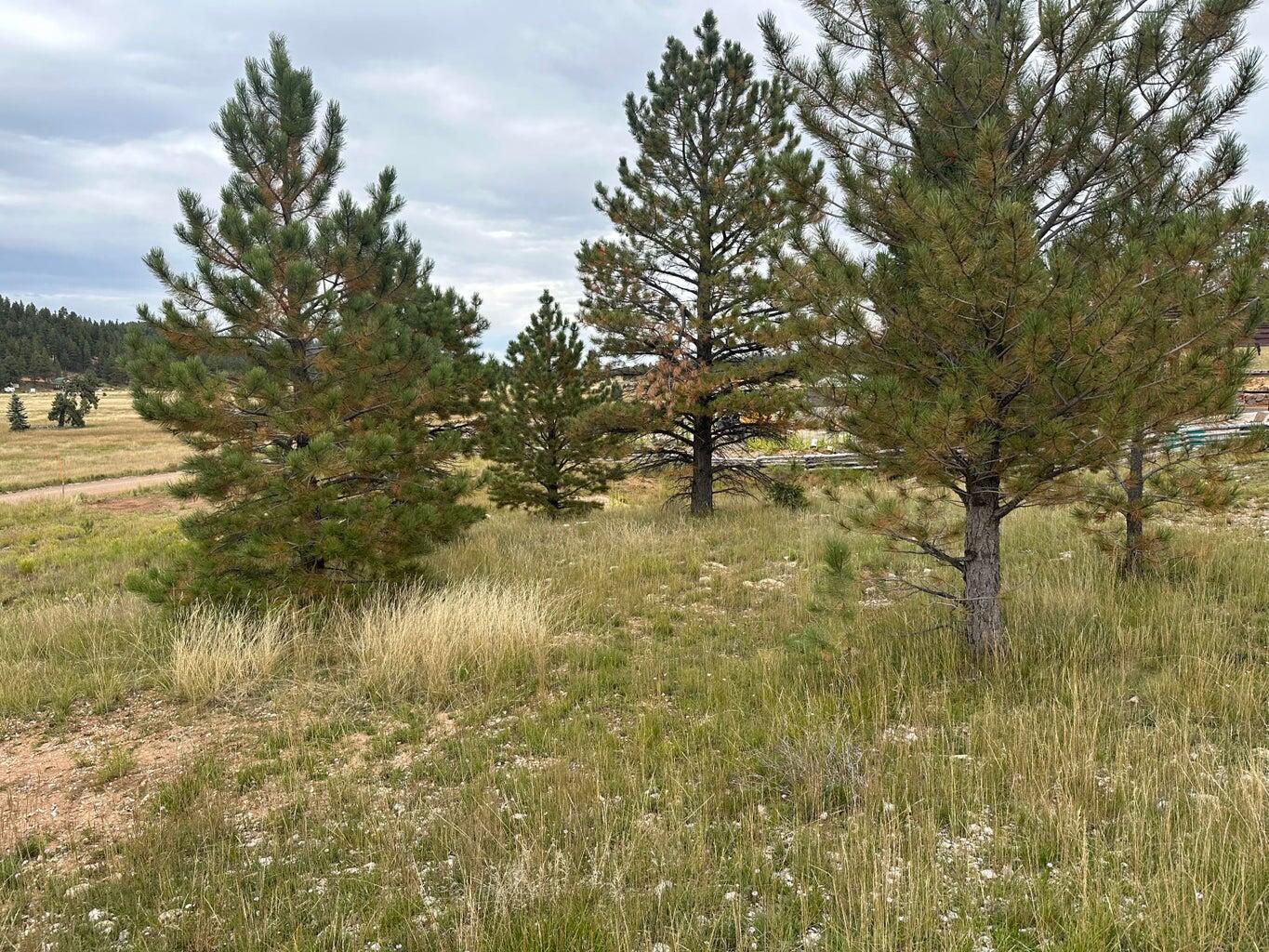 2150 N Ridge View RD, Duck Creek Village, photo 3 of 8