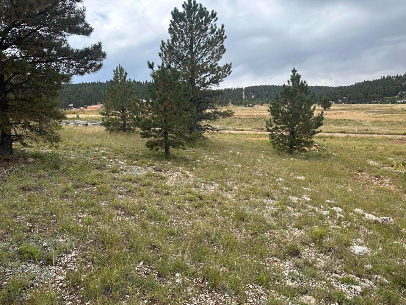 2150 N Ridge View RD, Duck Creek Village, photo 4 of 8
