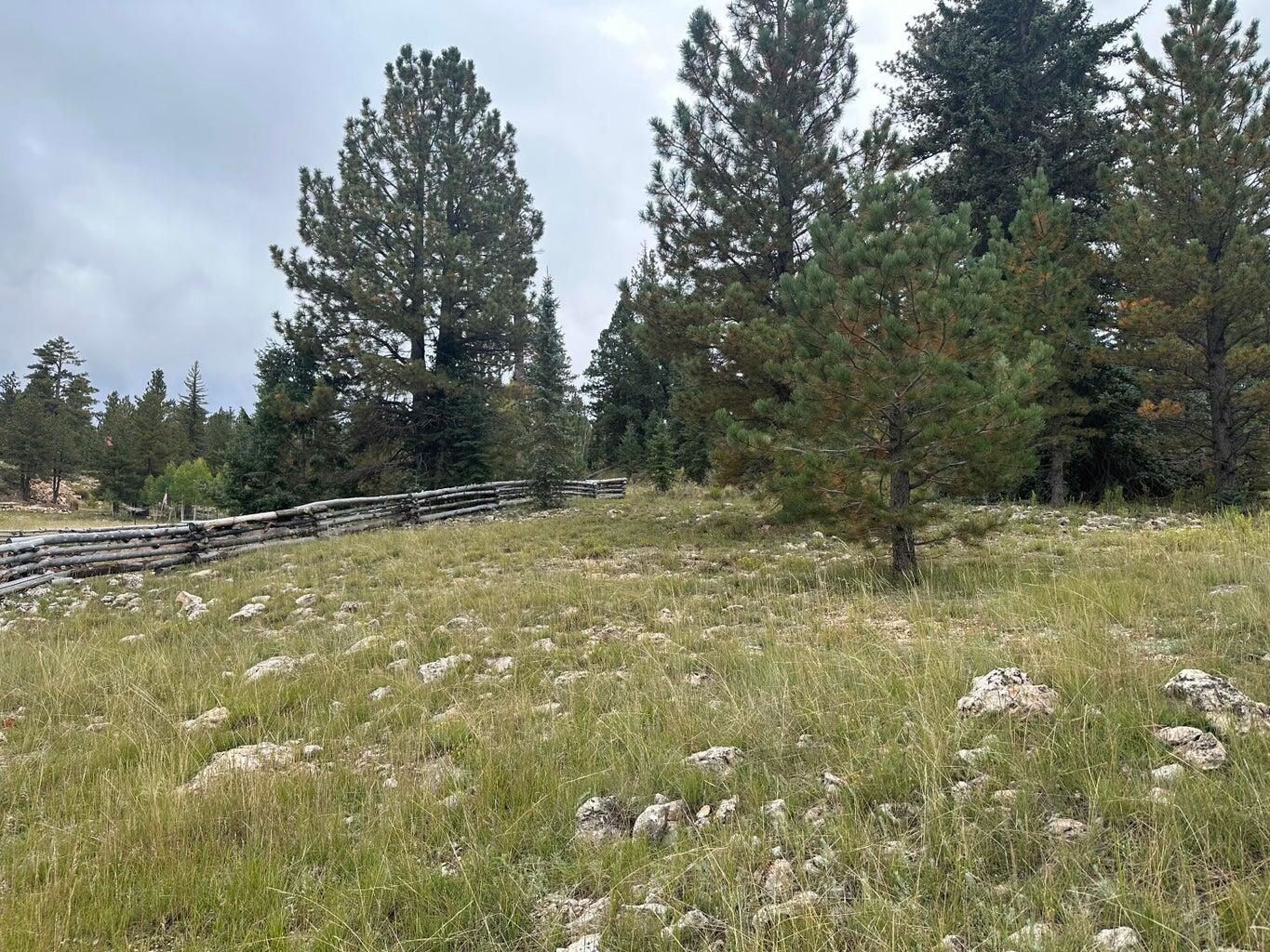 2150 N Ridge View RD, Duck Creek Village, photo 5 of 8