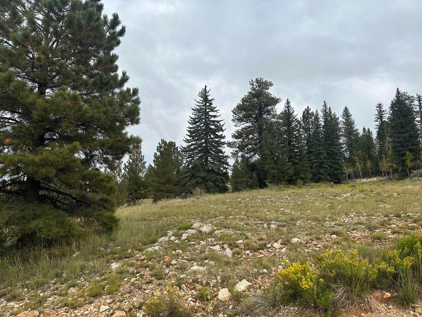 2150 N Ridge View RD, Duck Creek Village, photo 6 of 8