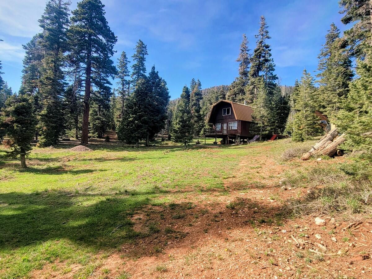 5550 W North Fork RD, Duck Creek Village, photo 25 of 26