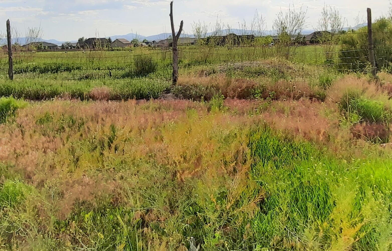 10.77 Acres Parcel: B-1548-000, & Water Shares, Cedar City, photo 4 of 11