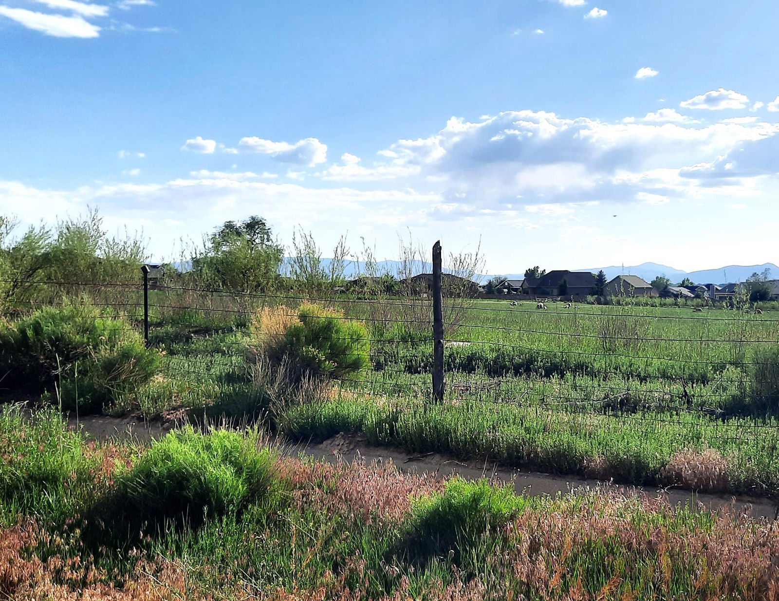 10.77 Acres Parcel: B-1548-000, & Water Shares, Cedar City, photo 3 of 11