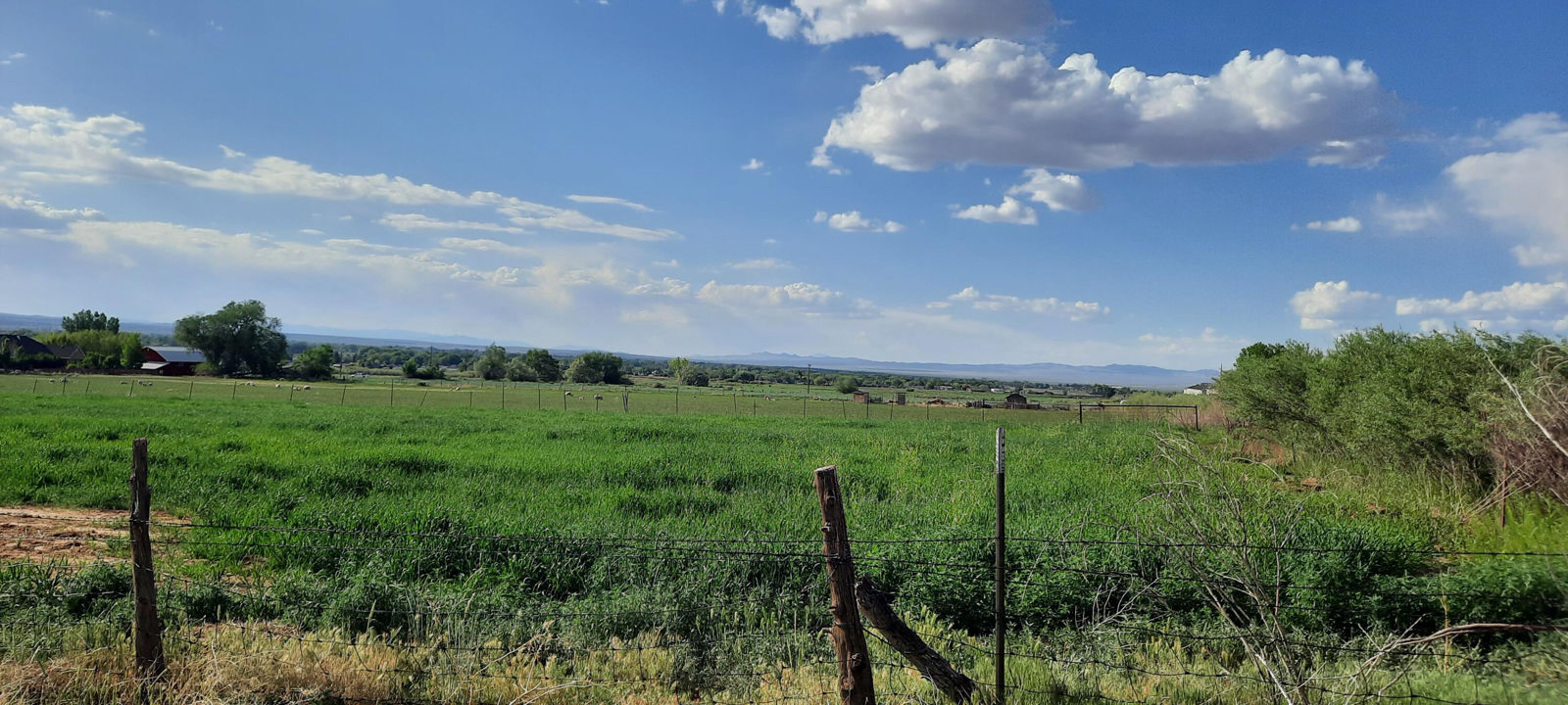 10.77 Acres Parcel: B-1548-000, & Water Shares, Cedar City, photo 9 of 11