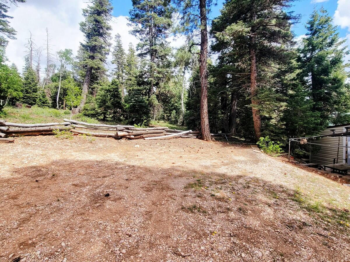 5470 W Berry Loop, Duck Creek Village, photo 5 of 22
