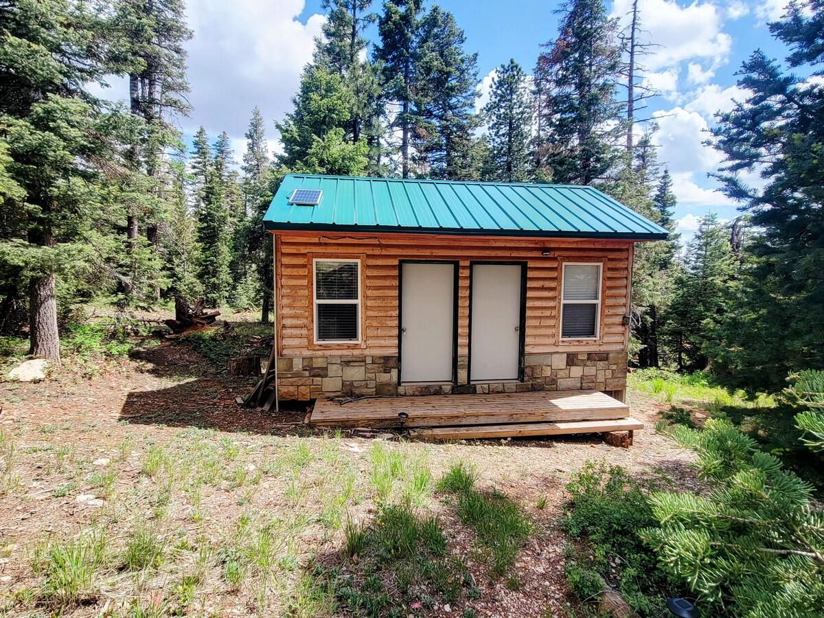 5470 W Berry Loop, Duck Creek Village, photo 12 of 22
