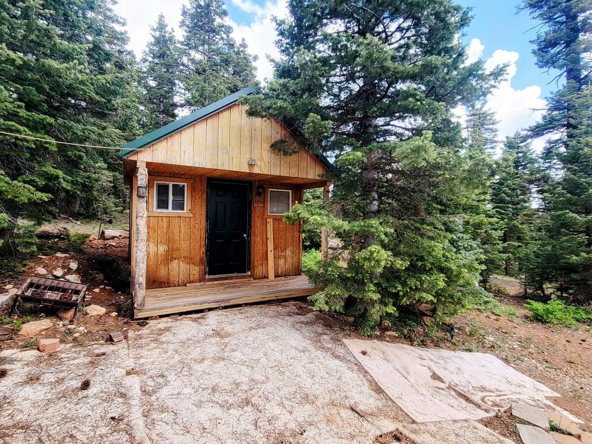 5470 W Berry Loop, Duck Creek Village, photo 15 of 22