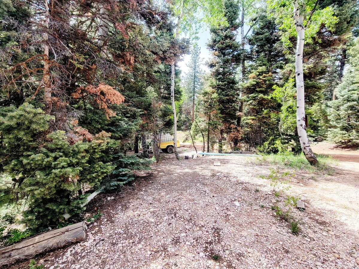5470 W Berry Loop, Duck Creek Village, photo 18 of 22