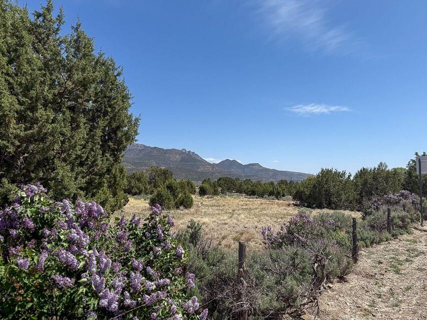 425 E Mule Deer RD, Central, photo 54 of 72