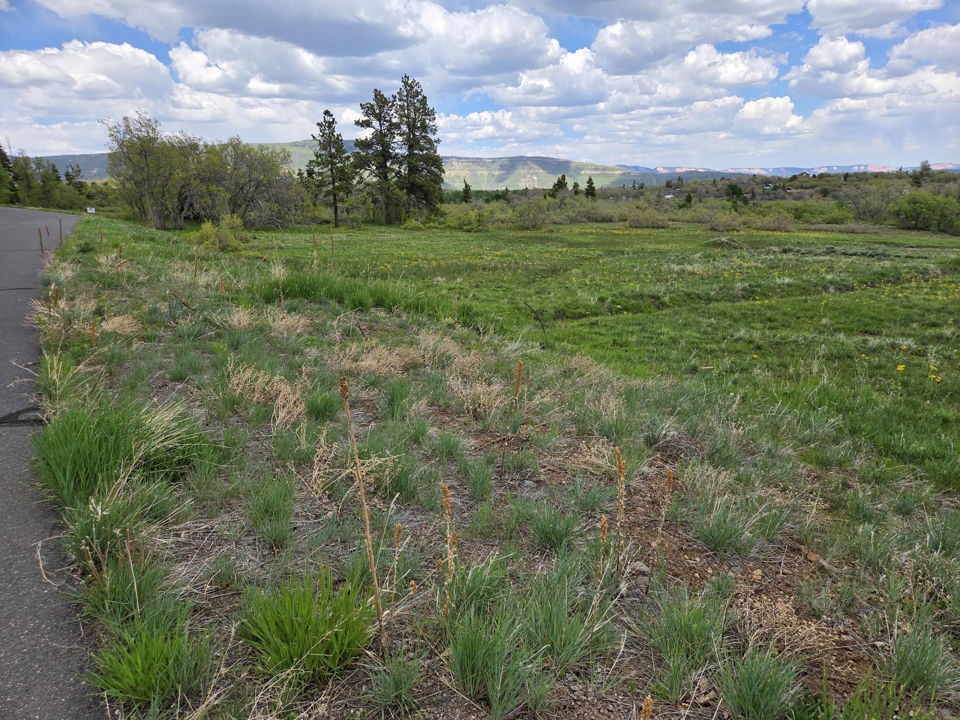 Lot 10 Spring DR, Virgin, photo 2