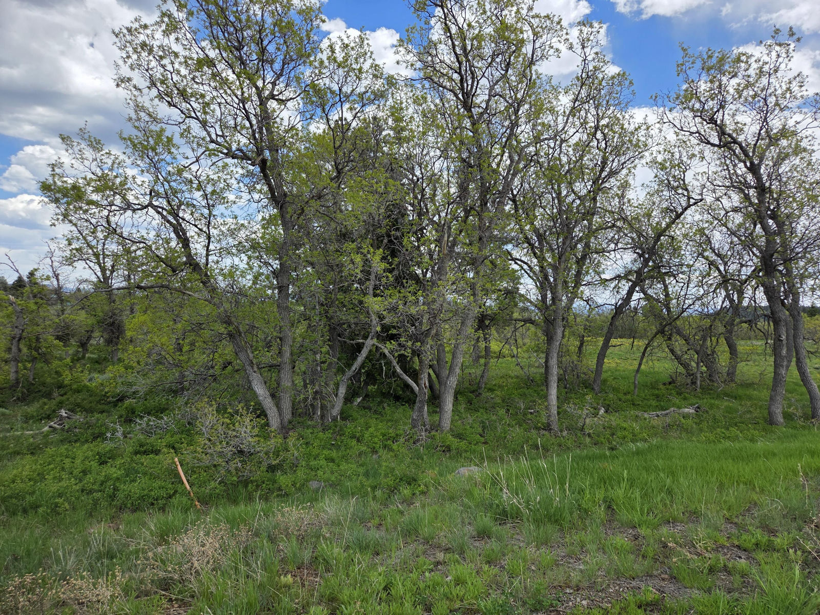 Lot 10 Spring DR, Virgin, photo 4 of 15