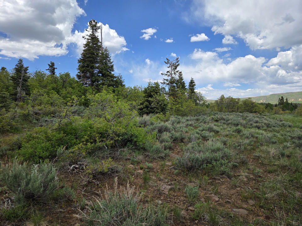 Lot 10 Spring DR, Virgin