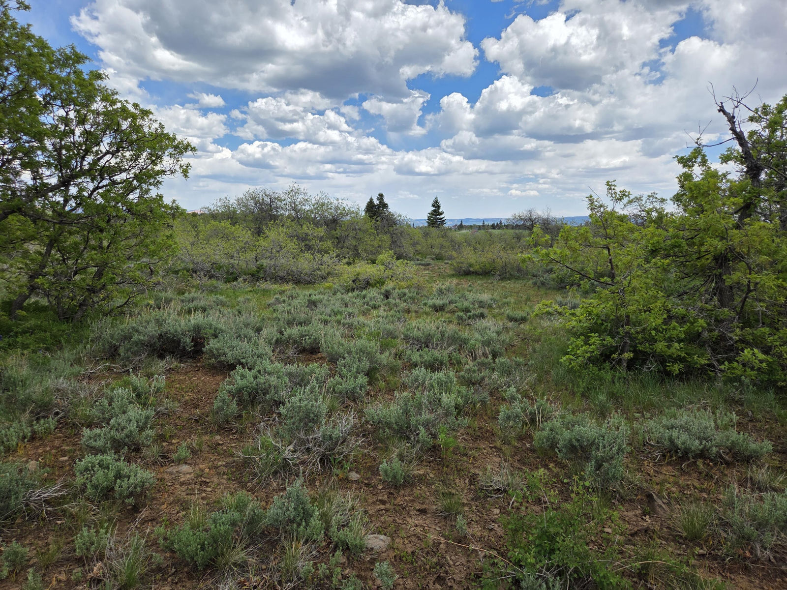 Lot 10 Spring DR, Virgin, photo 5 of 15