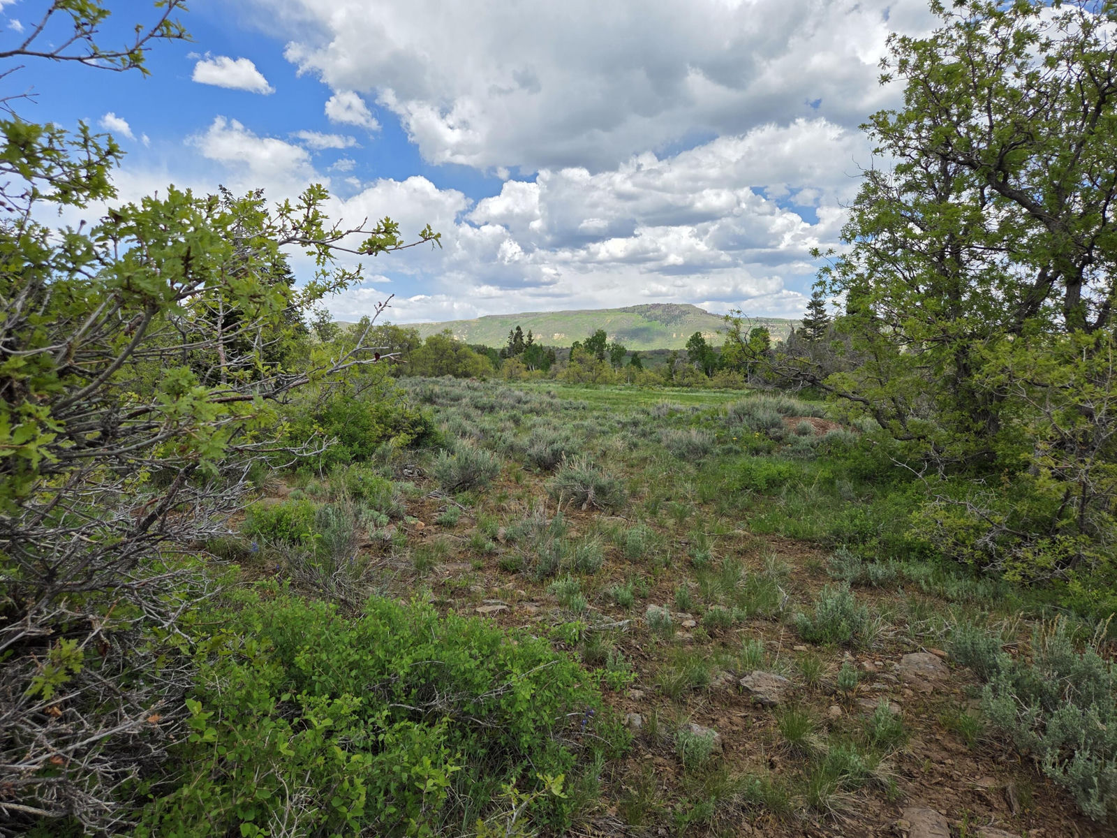 Lot 10 Spring DR, Virgin, photo 6 of 15